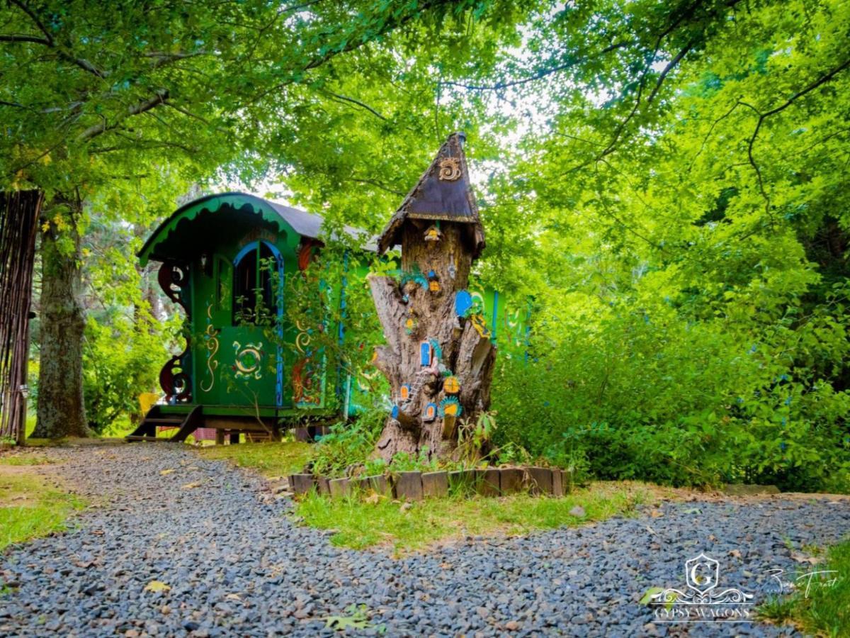 Gypsy Wagons And Vans, Clarens Szoba fotó